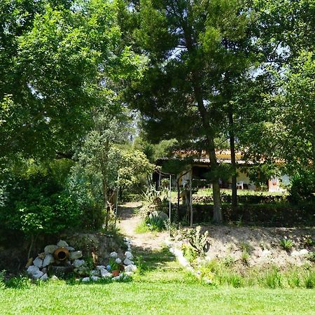 Quinta do Vale Grande Albergaria-a-Velha Exterior foto