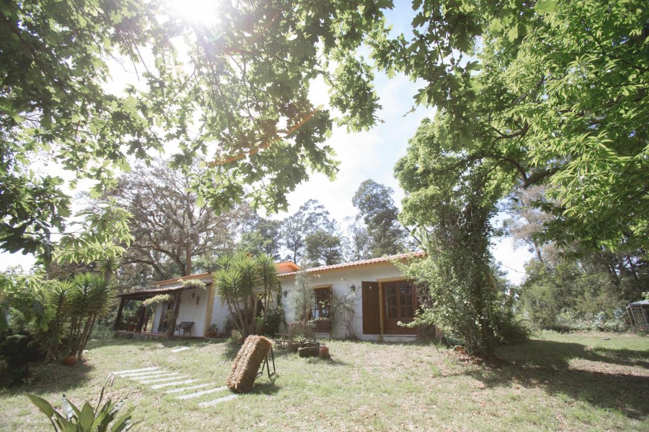 Quinta do Vale Grande Albergaria-a-Velha Exterior foto