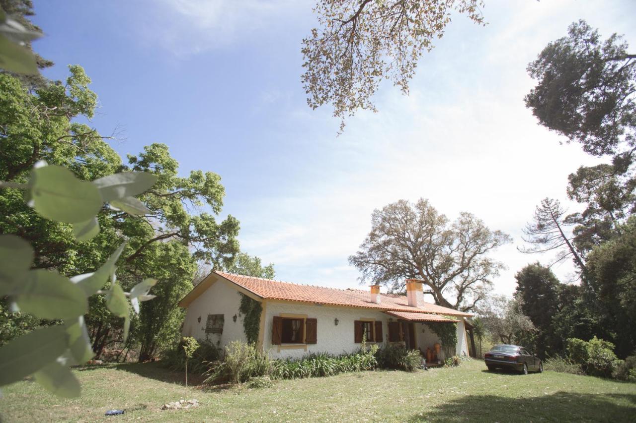 Quinta do Vale Grande Albergaria-a-Velha Exterior foto