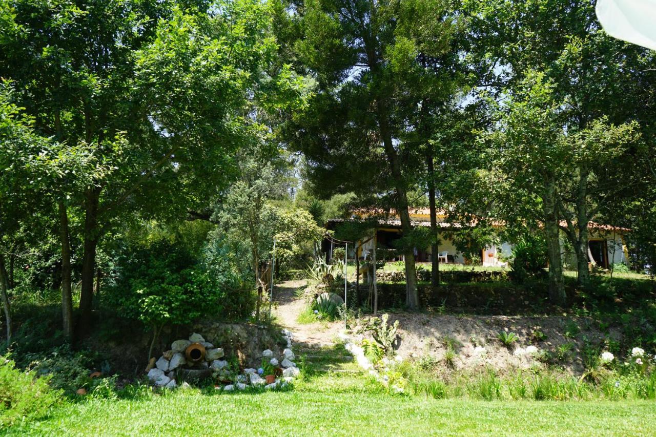 Quinta do Vale Grande Albergaria-a-Velha Exterior foto