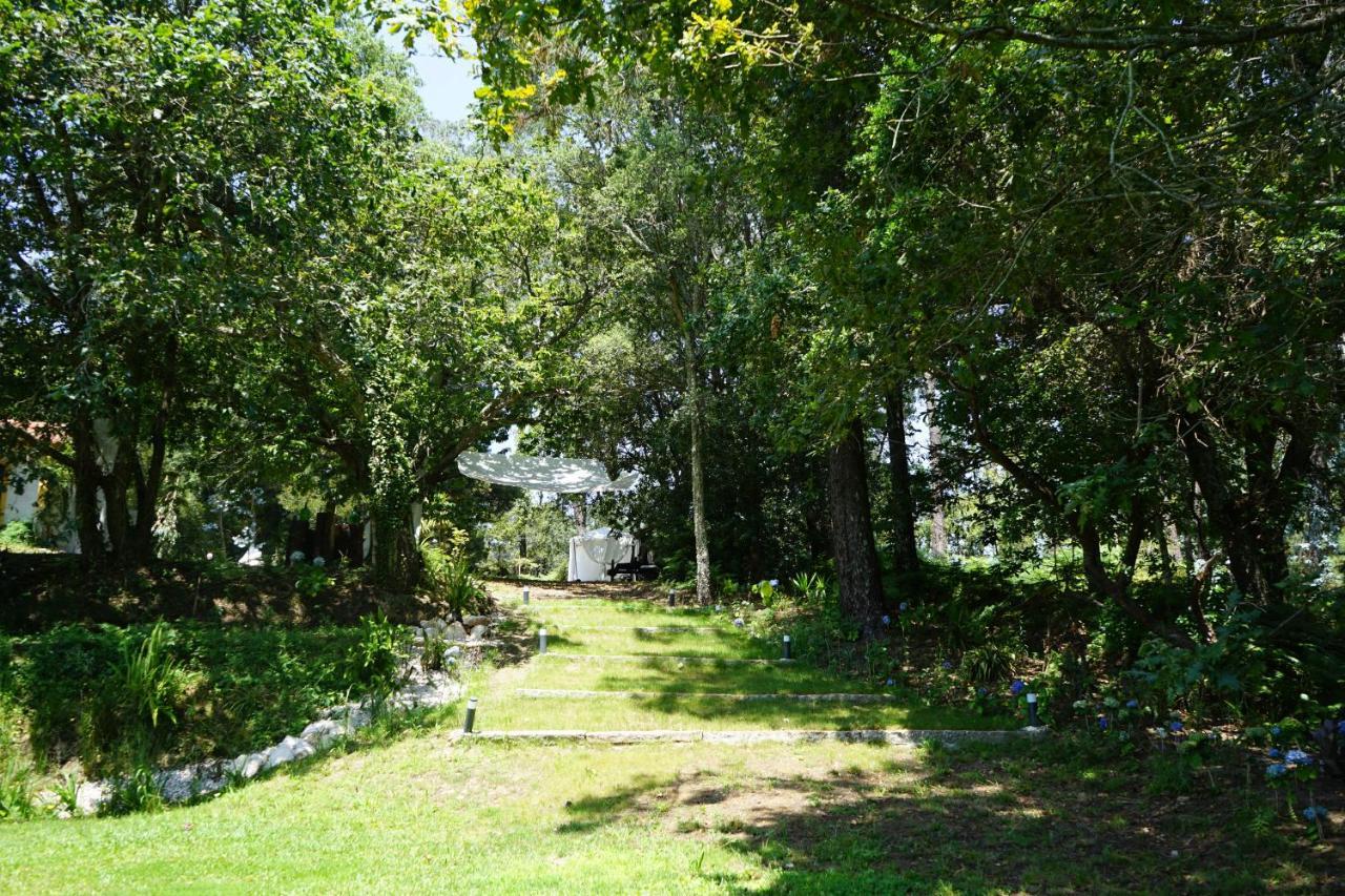 Quinta do Vale Grande Albergaria-a-Velha Exterior foto